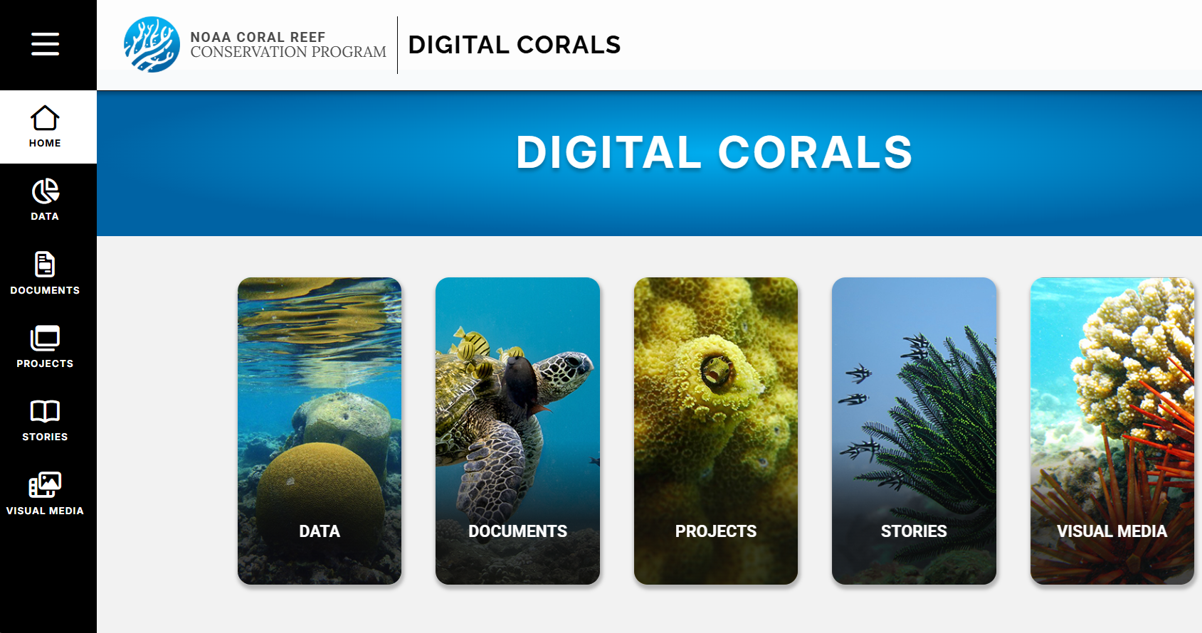 digital corals homepage